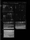 Flood pictures; Amphitheatre (7 Negatives), March - July 1956, undated [Sleeve 27, Folder g, Box 10]